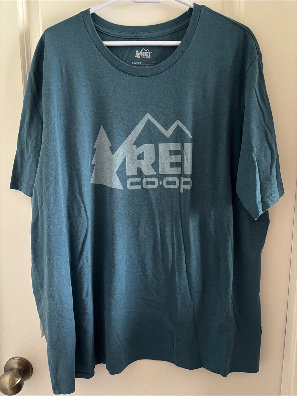 Unisex Teal/blue REI Logo T-Shirt